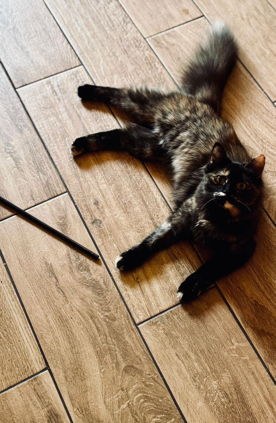 Joacă & Socializare